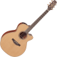 Takamine P3NC Auditorium Cutaway