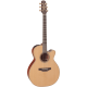 Takamine P3NC Auditorium Cutaway