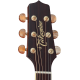 Takamine P4DC Cutaway Electro