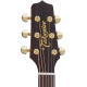 Takamine P5DC Cutaway Electro