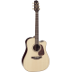 Takamine P5DC Cutaway Electro