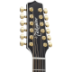 Takamine P6JC-12BSB 12 Cordes Electro