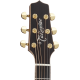 Takamine P7NC Auditorium Cutaway Electro