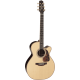 Takamine P7NC Auditorium Cutaway Electro