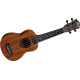 Ukulele WIKI