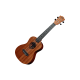 Ukulele lag concert