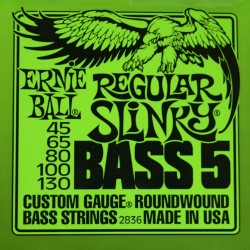 Cordes basse 5 cordes Ernie Ball Regular Slinky 45-130