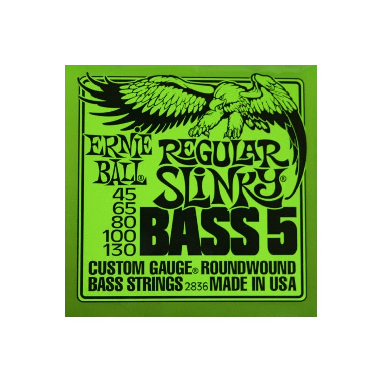 Cordes basse 5 cordes Ernie Ball Regular Slinky 45-130