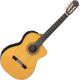 Takamine Legacy TH5C