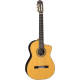 Takamine Legacy TH5C