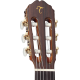 Takamine Legacy TC132SC