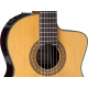 Takamine Legacy TC132SC