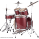 Pearl Export Fusion