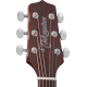 Takamine GN10NS