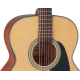 Takamine GN10NS