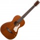 Art & Lutherie Roadhouse Havana Brown Q Discrete