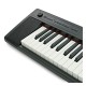 Yamaha NP-32B