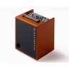 Ampli Schertler David Wood