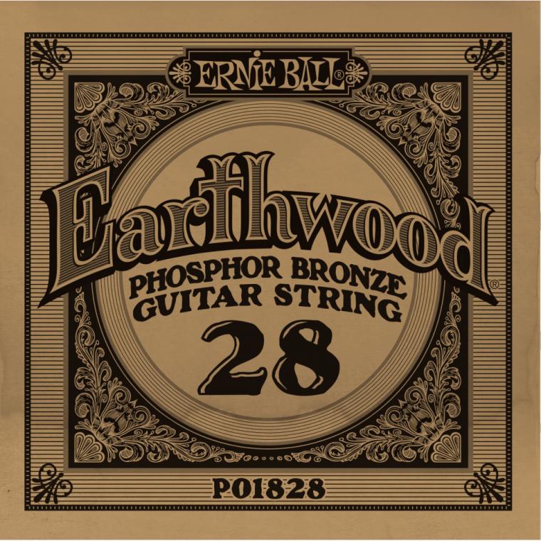 Ernie Ball 028 Earthwood 80/20 Bronze