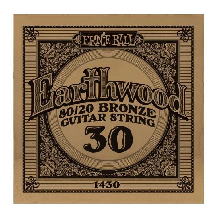 Ernie Ball 030 Earthwood 80/20 Bronze