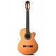 Altamira N200CE electro-acoustique