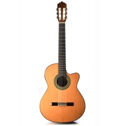 Altamira N200CE electro-acoustique