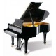 Wilh. Steinberg Signature 188 noir brillant