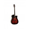 Tanglewood Winterleaf TW5EAVB CN