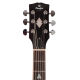 Prodipe GS300 Brown