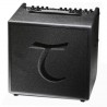 Tanglewood T6