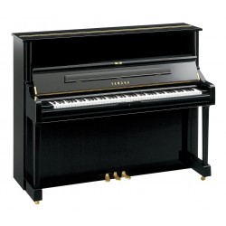 Yamaha U1