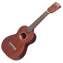 Ukuleles et autres types de guitares